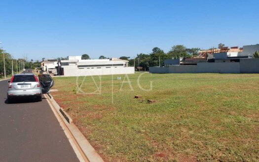 LOTE NO ALTO DO CASTELO
